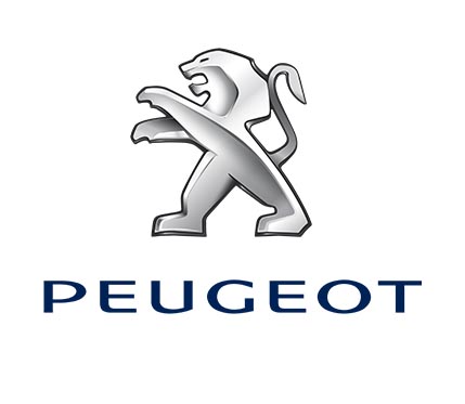 Peugeot-Peugeot Polymer Parts-قطعات پژو-قطعات پلاستیکی خودرو